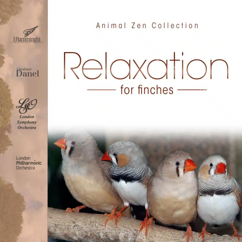 Relaxation for Finches