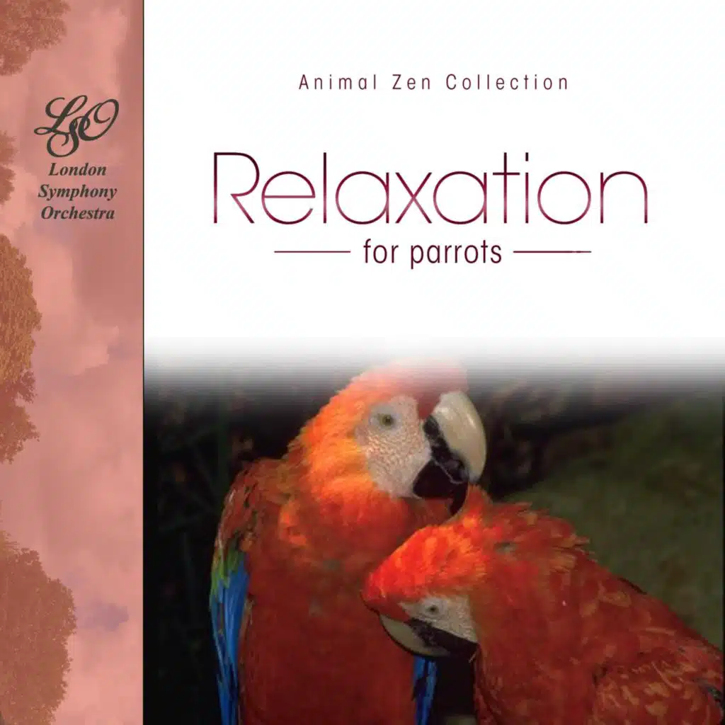 Quatuor Thaïs, Caroline Bayet, Elsa De Lacerda, Wendy Ruymen & Kathy Adam