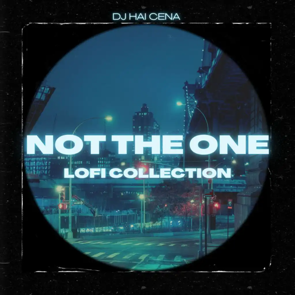 not the one (lofi version)