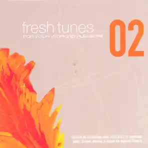 Fresh Tunes 02: For Your Working Pleasure