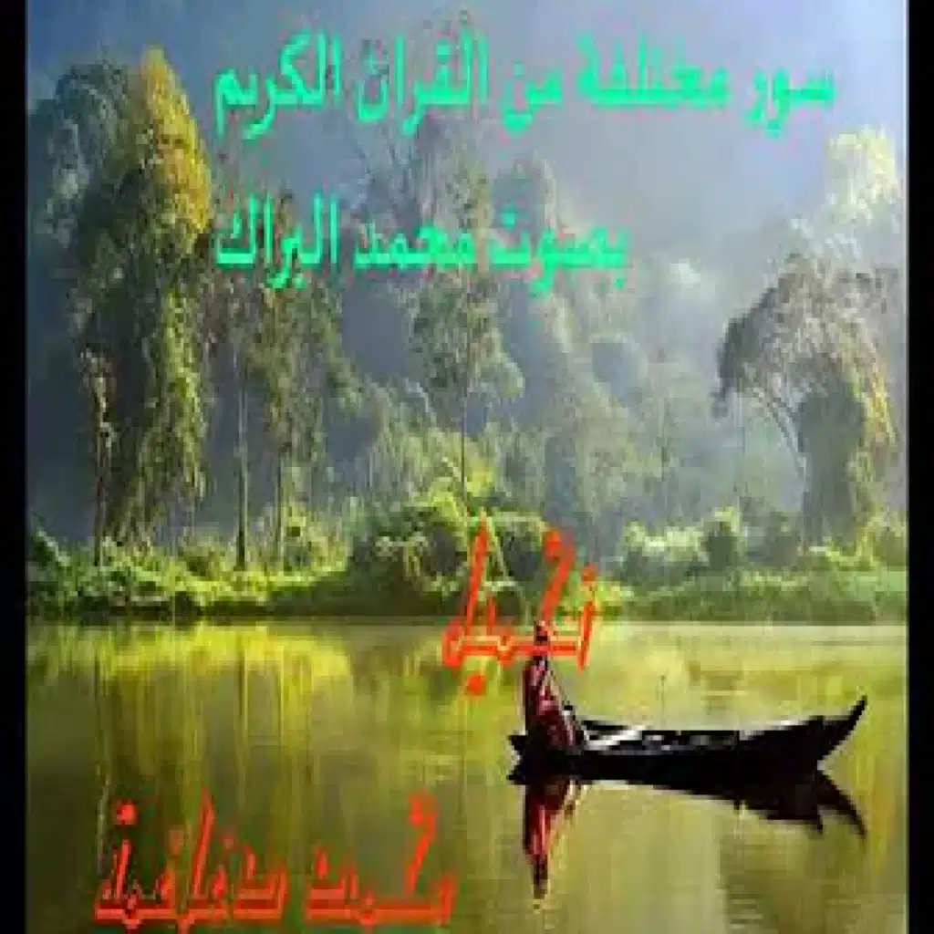 محمد البراك الجزء الثالث عشر