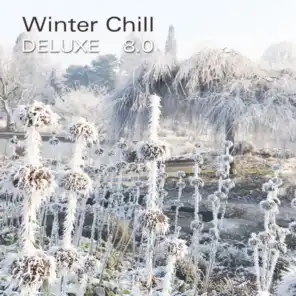 Winter Chill Deluxe 8.0