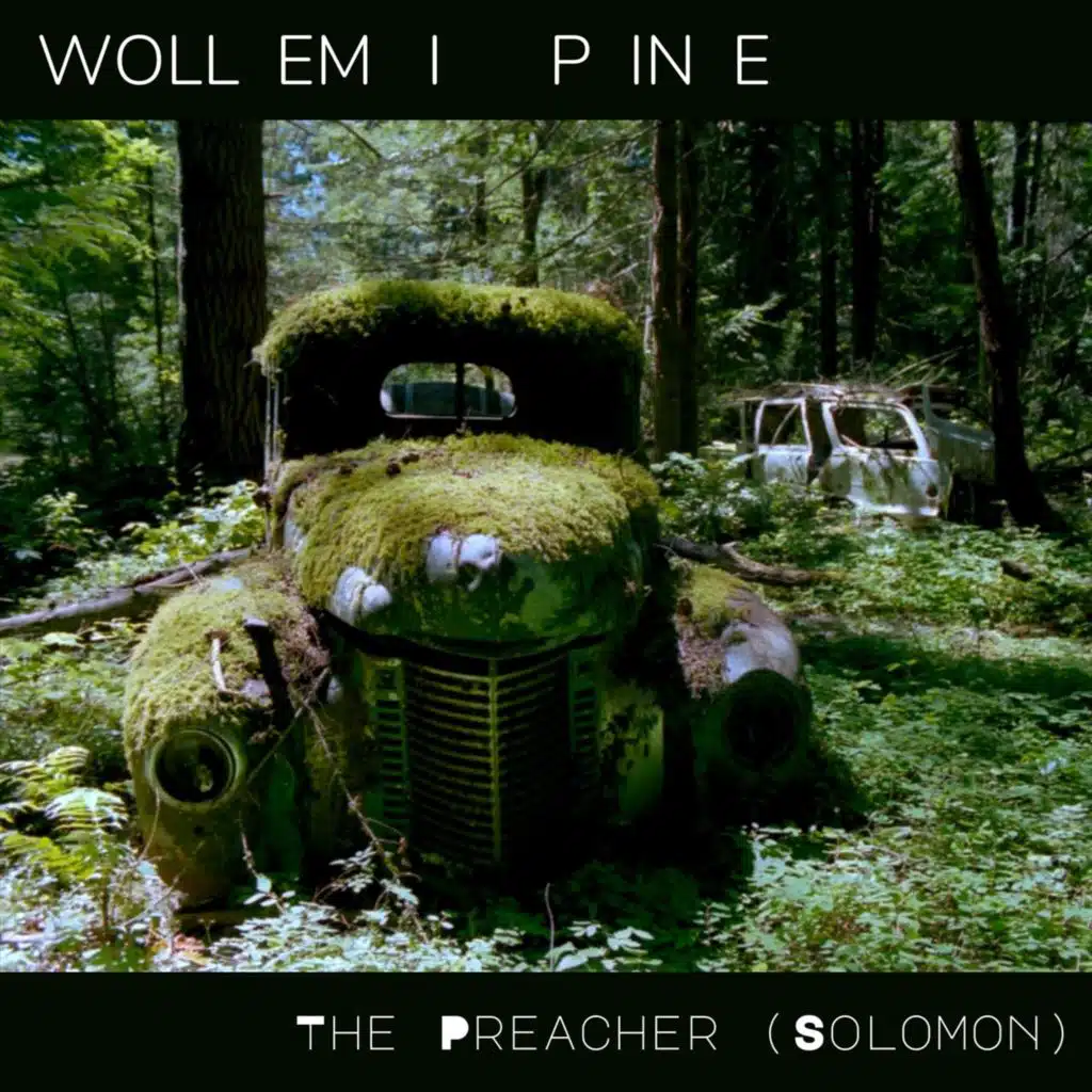 The Preacher (Solomon)