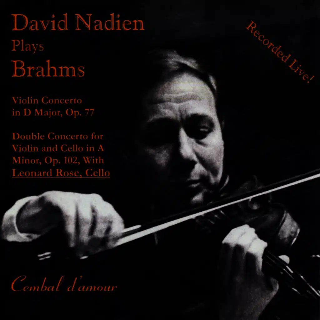 Violin Concerto in D Major, Op. 77: Allegro non troppo