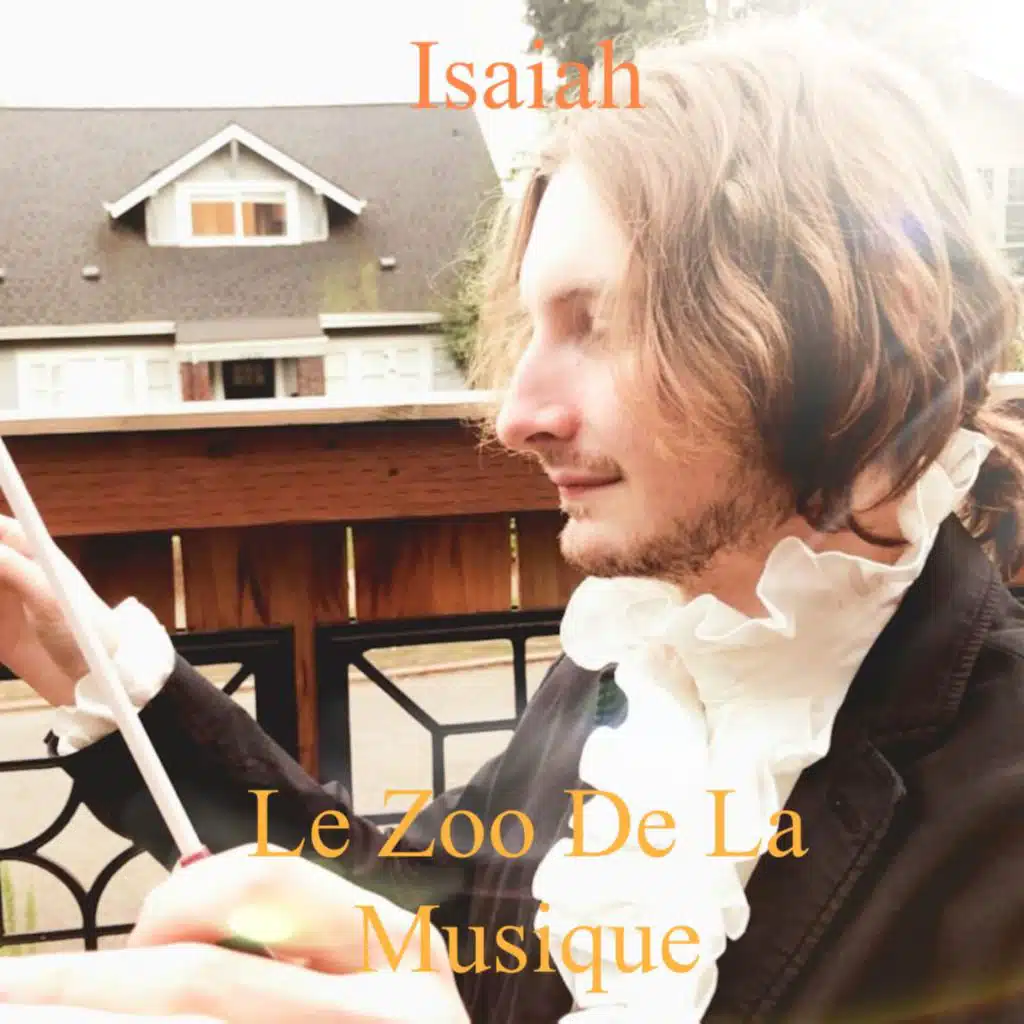 Le Zoo De La Musique