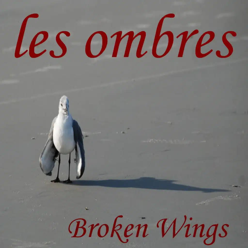 Broken Wings