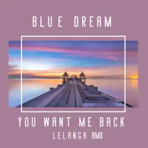You Want Me Back (Lelanga Sweet Radio Mix) [feat. The Rurals]