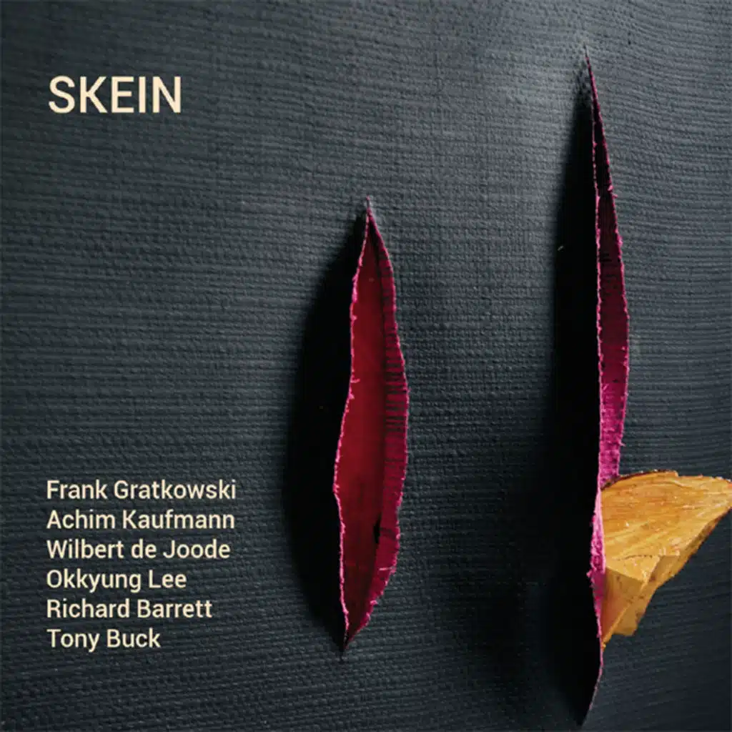 Skein (feat. Achim Kaufmann, Wilbert de Joode, Okkyung Lee, Richard Barrett & Tony Buck)