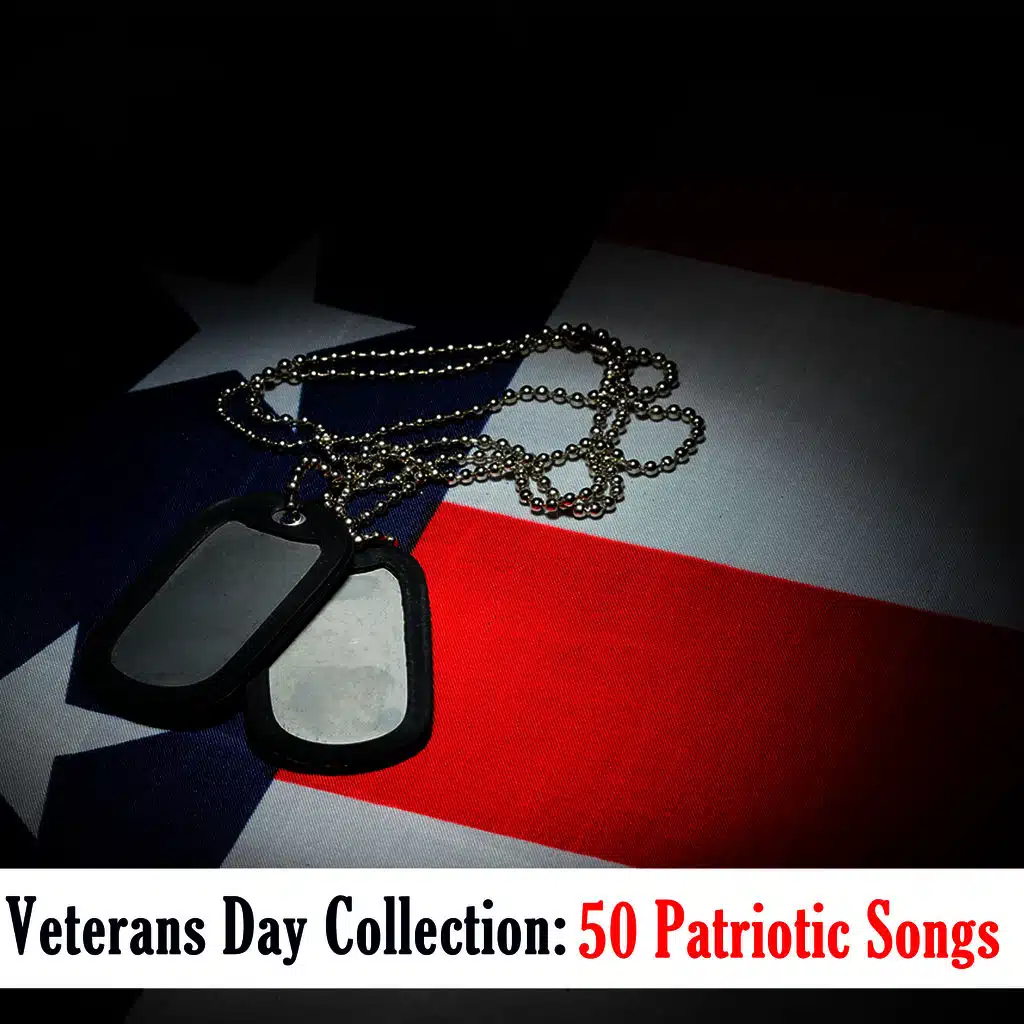 The Massed Bands of the Parachute Regiment