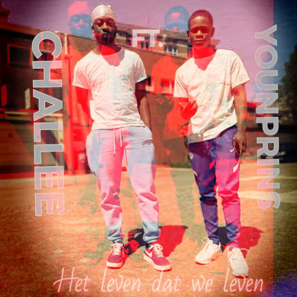 Het leven dat we leven