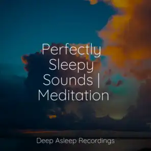 Perfectly Sleepy Sounds | Meditation