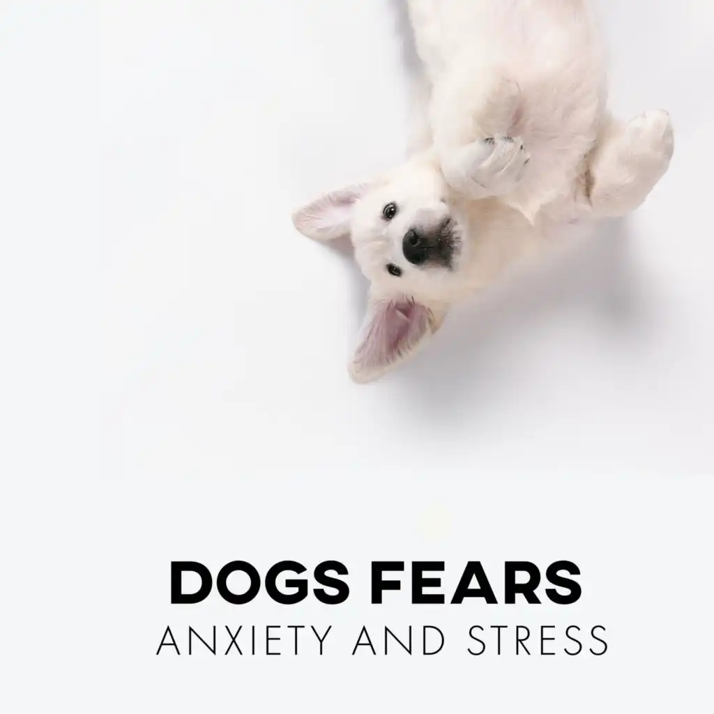 Dogs Fears, Anxiety and Stress: Best Music Therapy for Animals