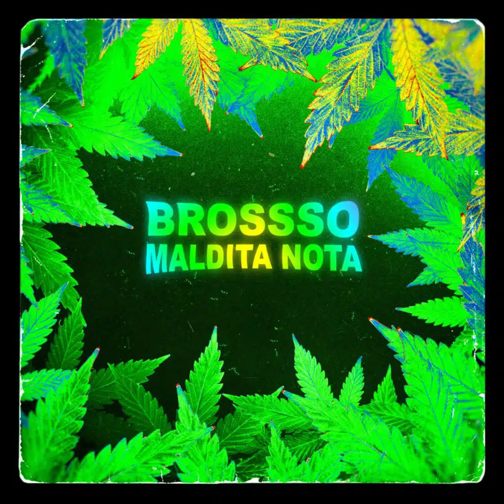 Brossso