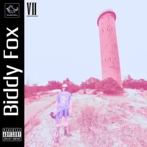 (Theme From) Biddy Fox VII
