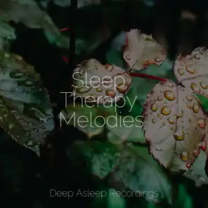 Sleep Therapy Melodies