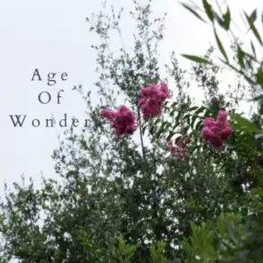 Age of Wonder