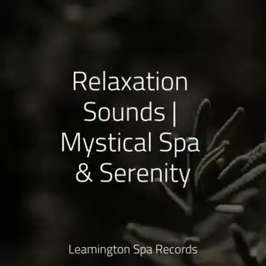 Relaxation Sounds | Mystical Spa & Serenity