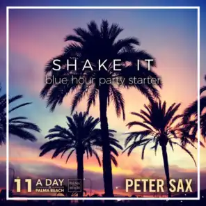 A Day @ Palma Beach 11 - Shake It (Blue Hour Party Starter) [Radio Edit]