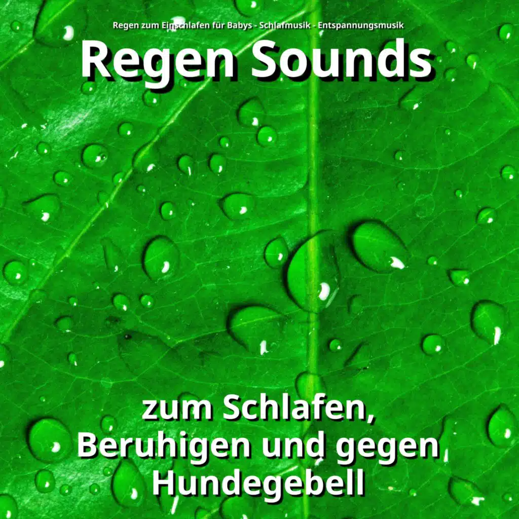 Regen Sounds zum Schlafen, Beruhigen und gegen Hundegebell