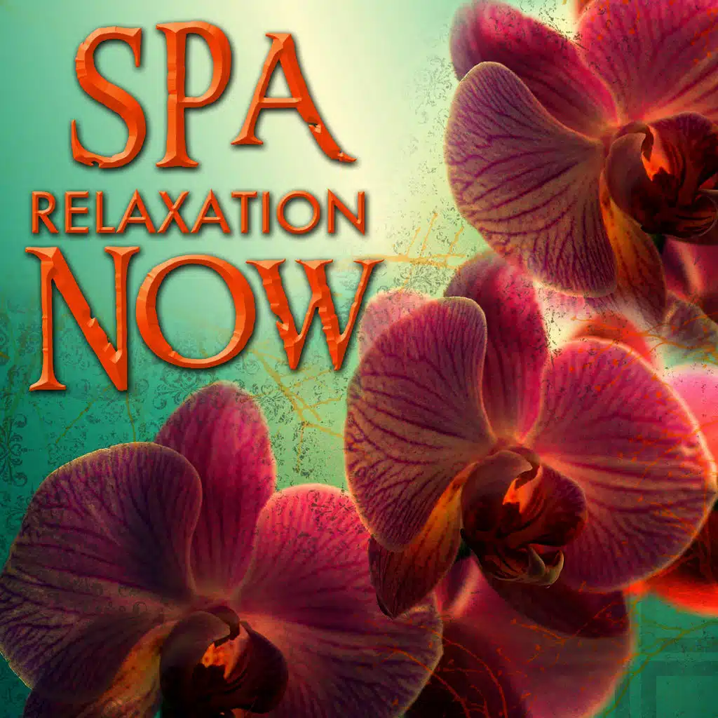 2+ Hours of Meditation & Peaceful Music