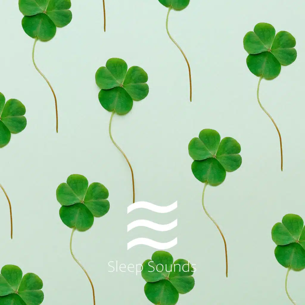 Relaxing Spa Music and Nature Sounds