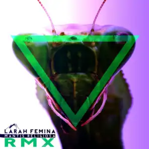 Mantis Religiosa (Remix)