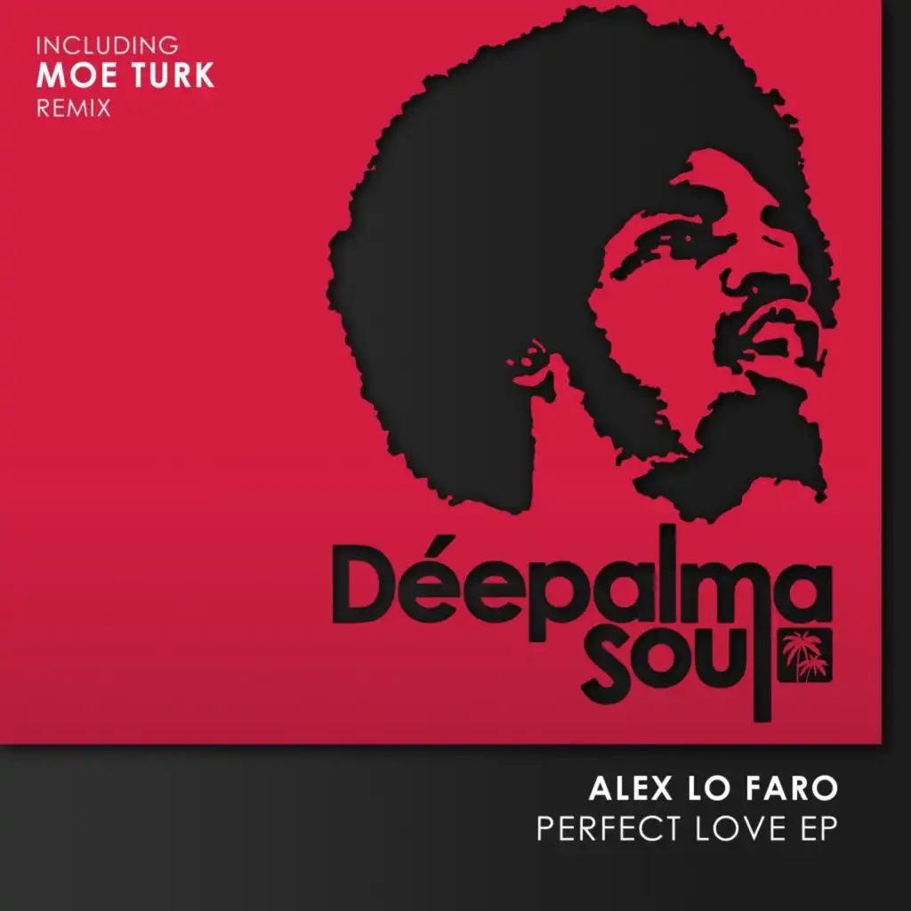 Perfect Love (Extended Mix)