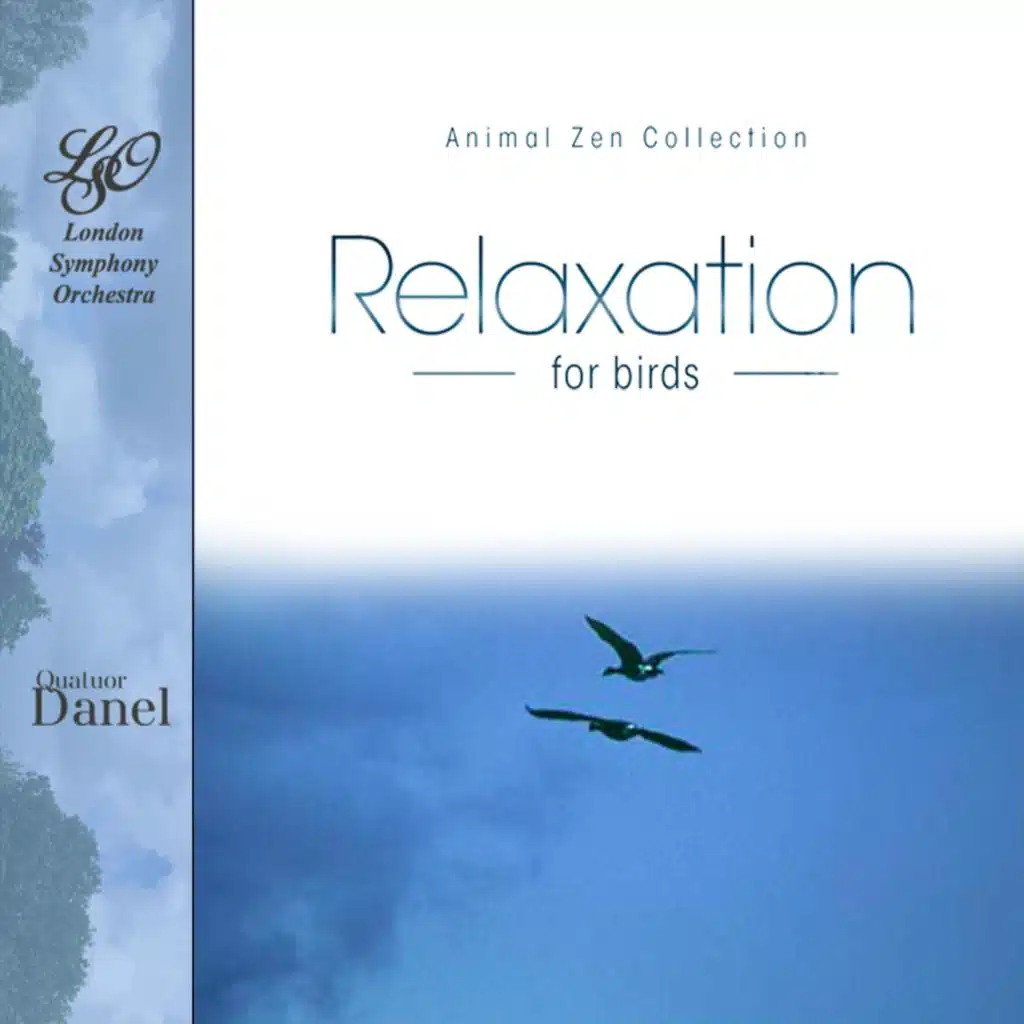 Relaxation for Birds