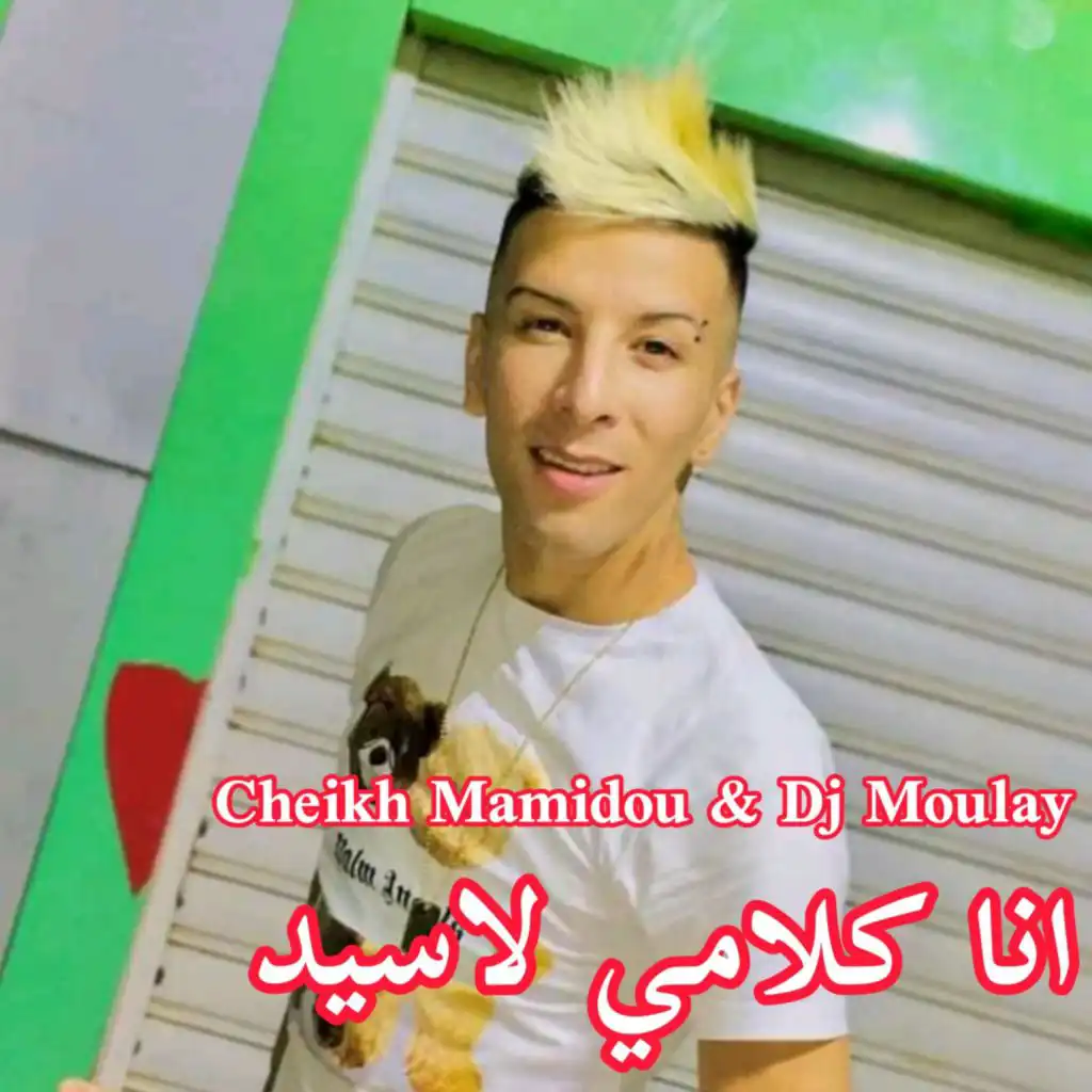 Cheikh Mamidou (feat. DJ Moulay)