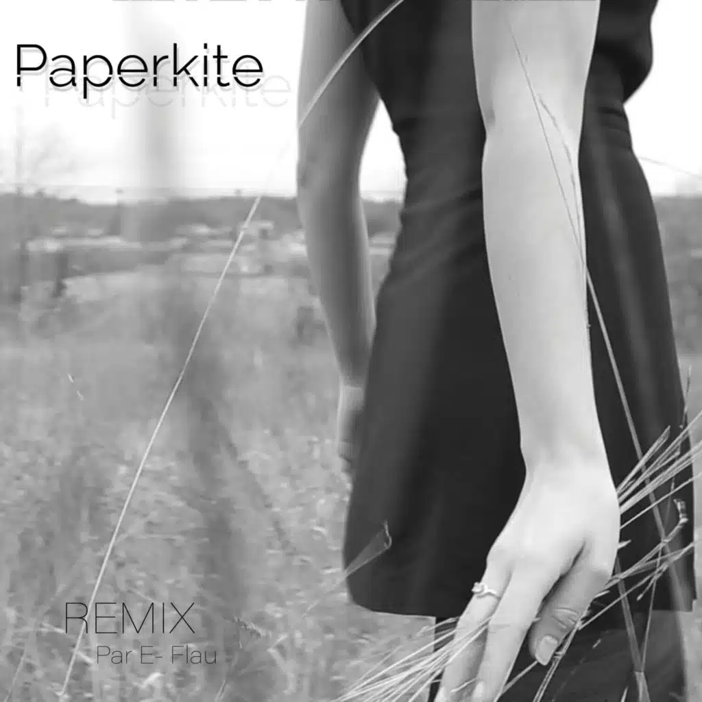 Paperkite (Electro Version)