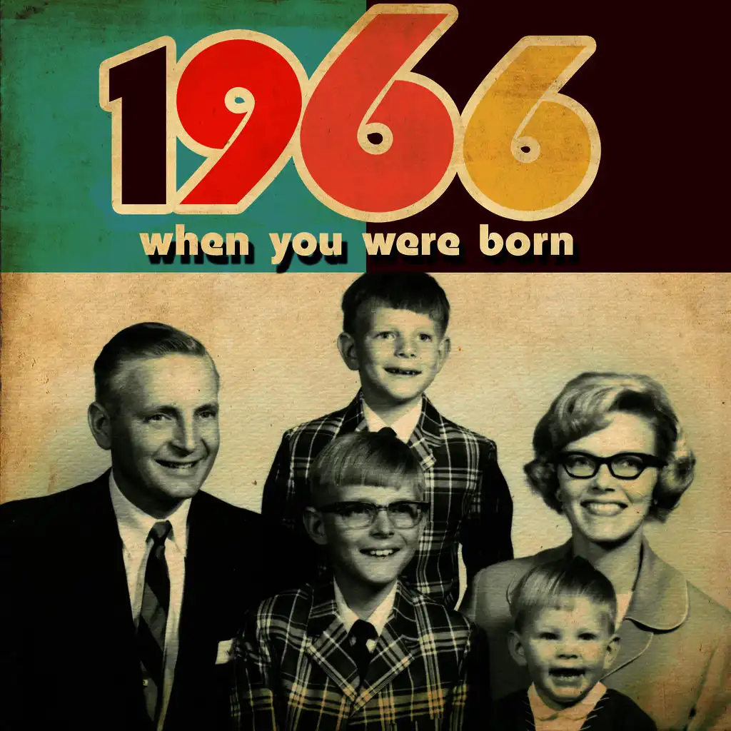 When You Were Born 1966