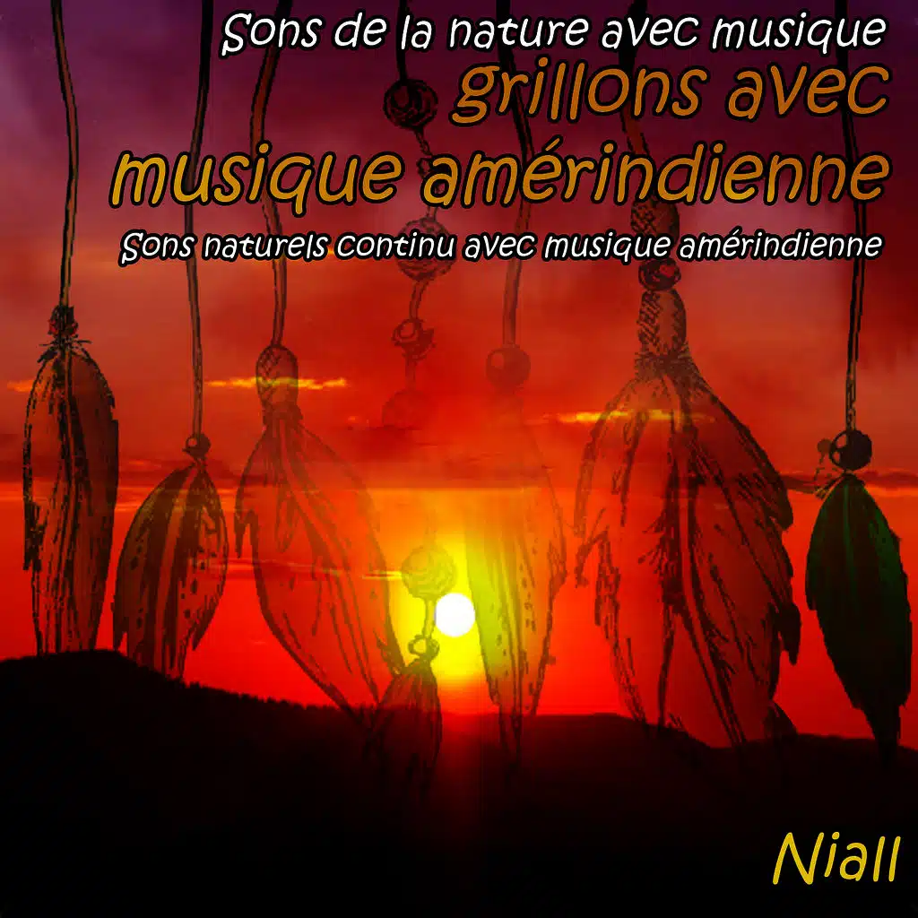 Sons de la nature avec musique: musique amérindienne avec les grillons