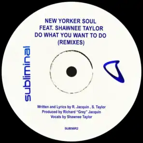 Do What You Want To Do (Hypnotik Mix) [feat. Shawnee Taylor]
