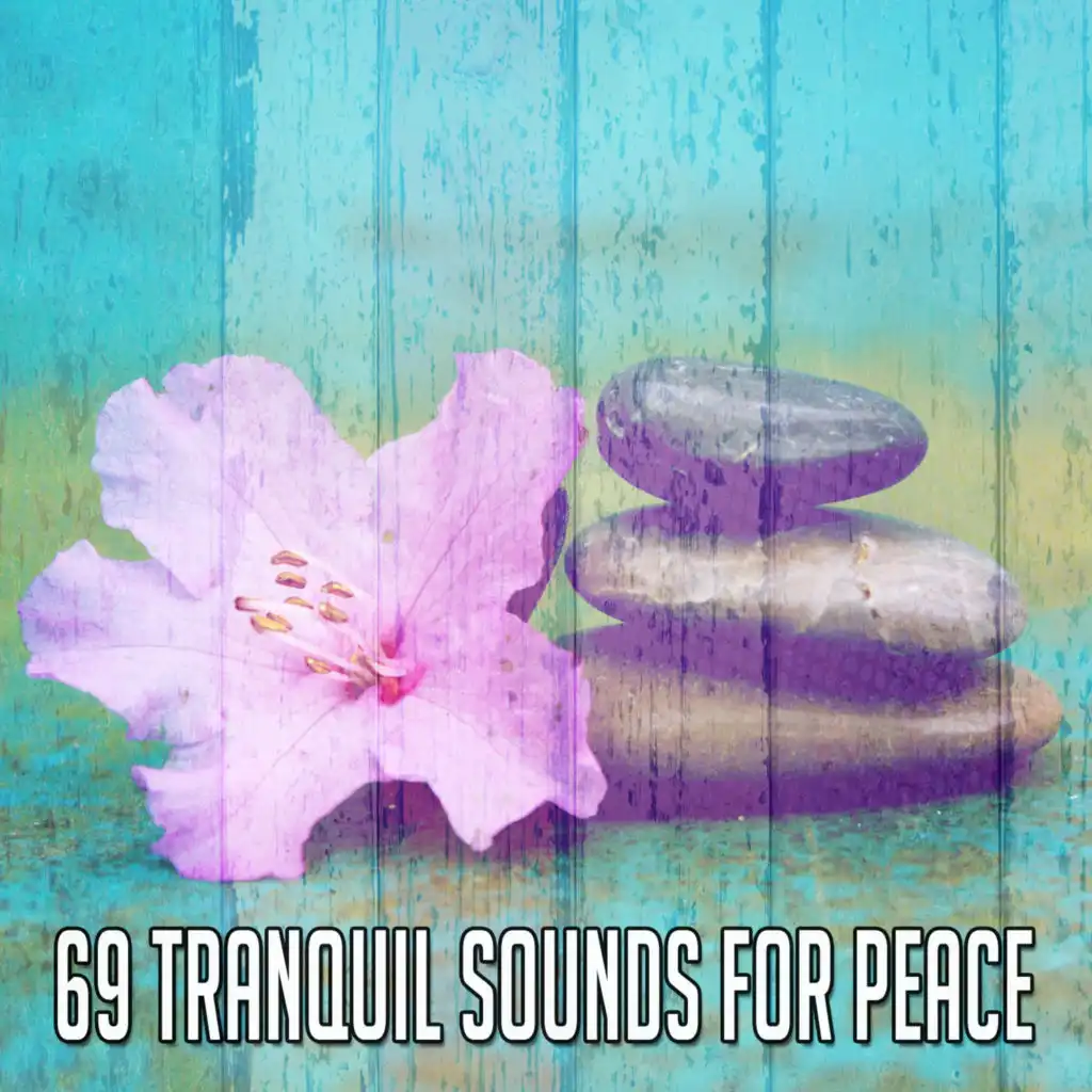 69 Tranquil Sounds for Peace