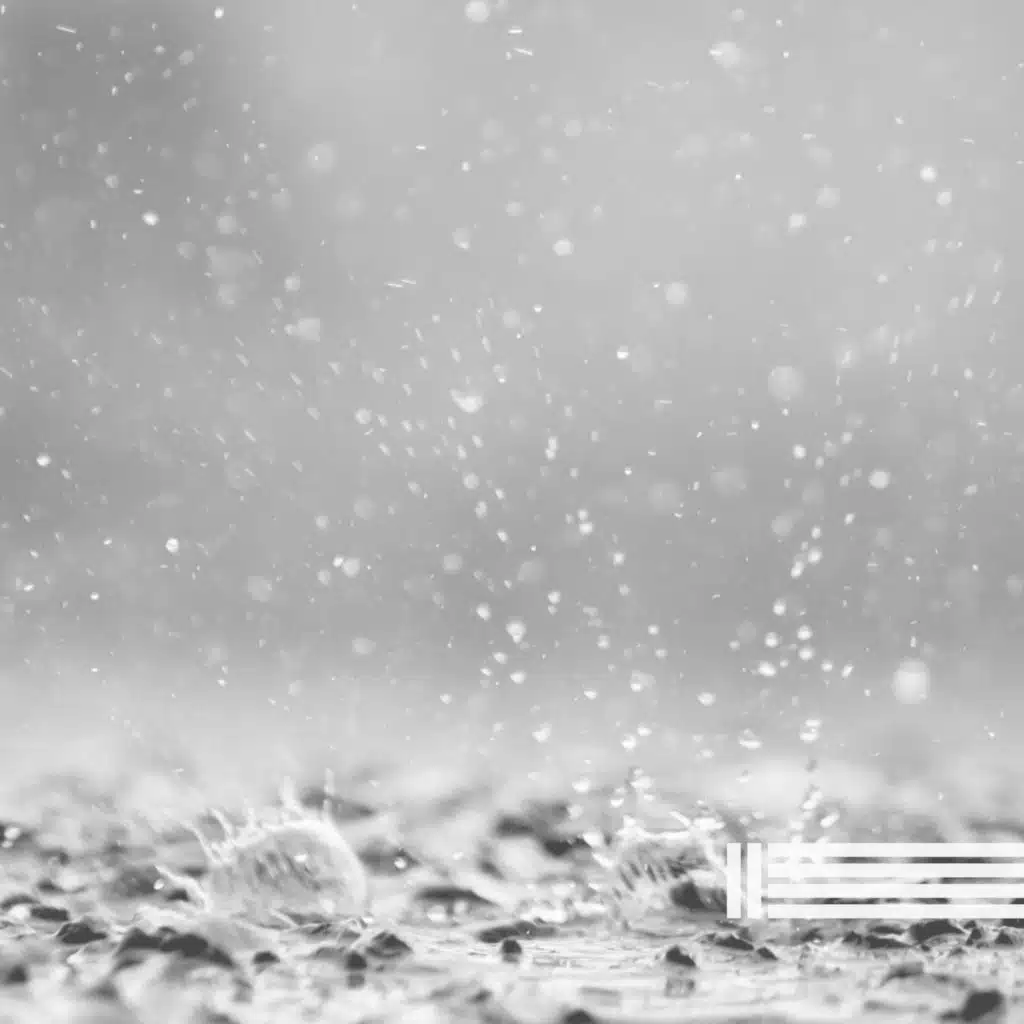 Sons Calmos De Chuva (Loop)