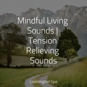Mindful Living Sounds | Tension Relieving Sounds