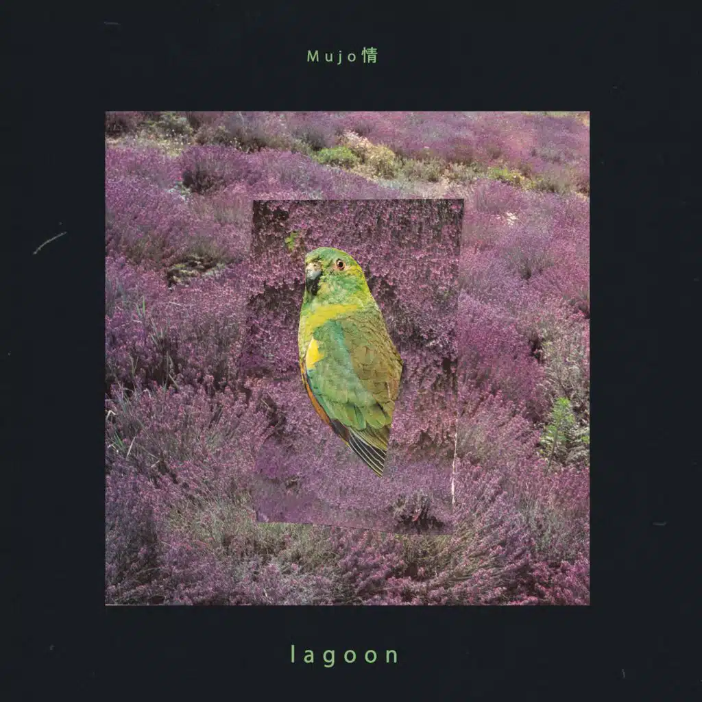 Lagoon