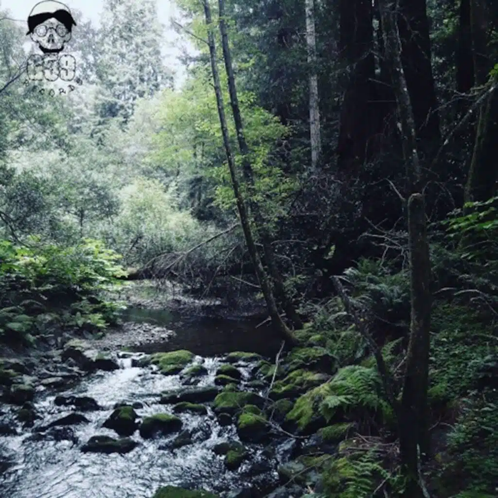 Mad as Fuck (feat. Freddie Dredd)