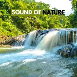 Sounds Of Waterfalls