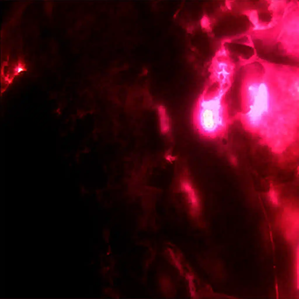 Birth Throes, Shadows and Serpentine Curves