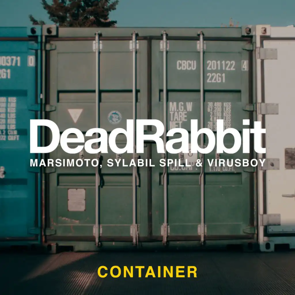 Container (feat. Virusboy)