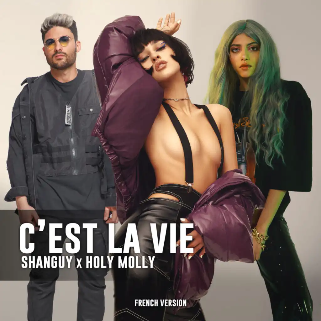 C'est la vie (French Version)