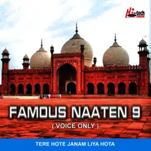 Famous Naaten Vol. 9 (Voice Only)