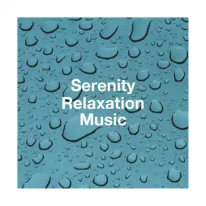 Musique de Relaxation, The Relaxation Providers, Relaxation Music With Nature Sounds