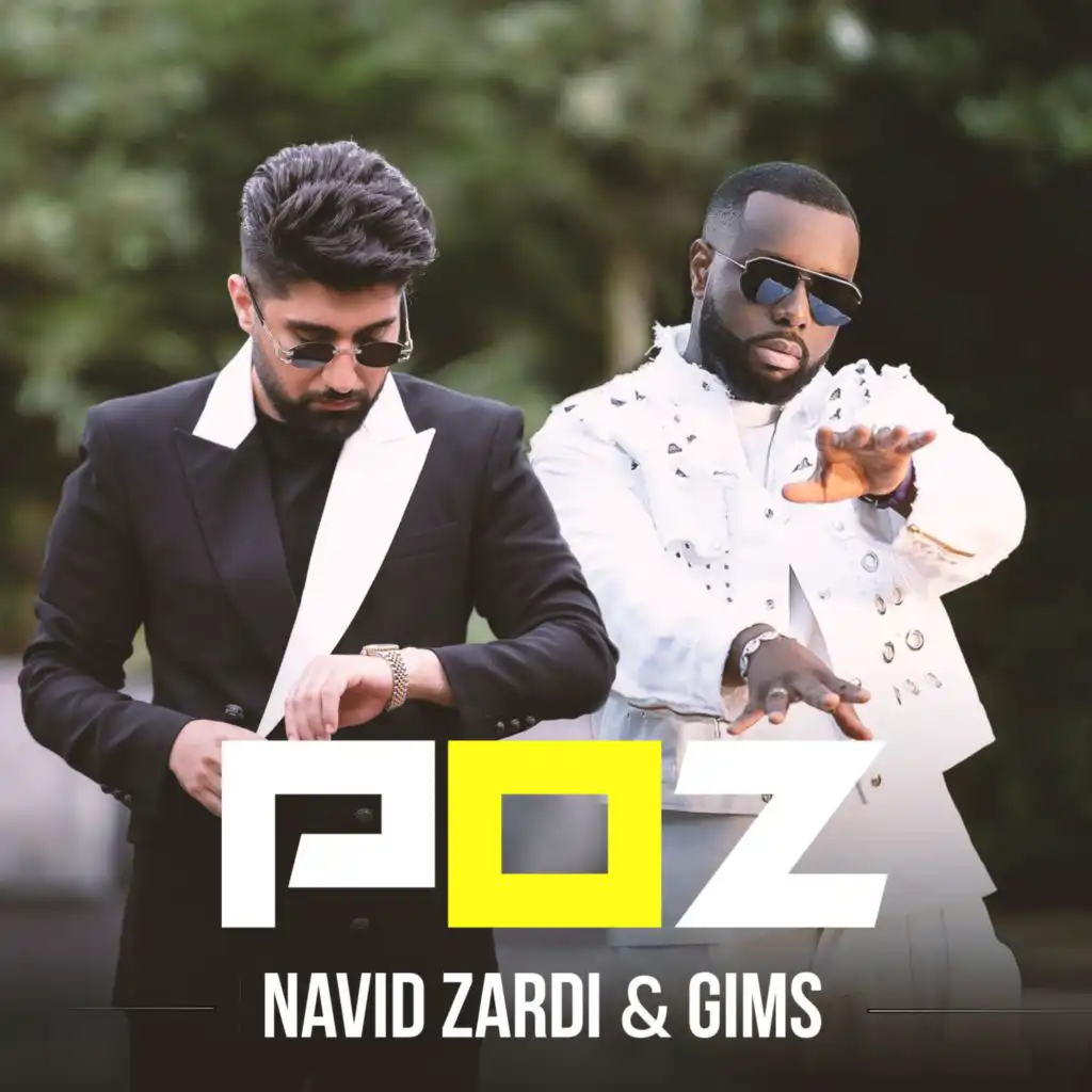 POZ (feat. GIMS)