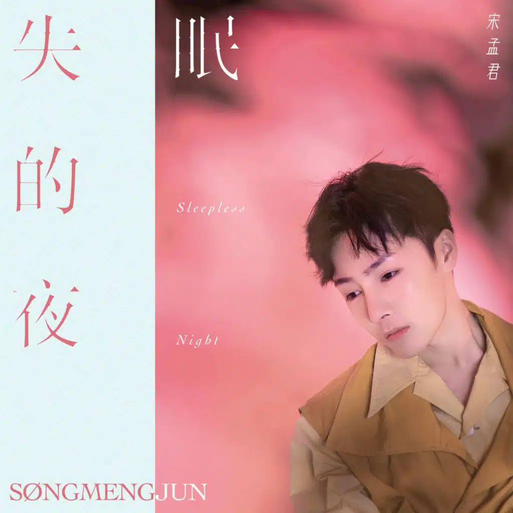 失眠的夜 (DJ沈念版)