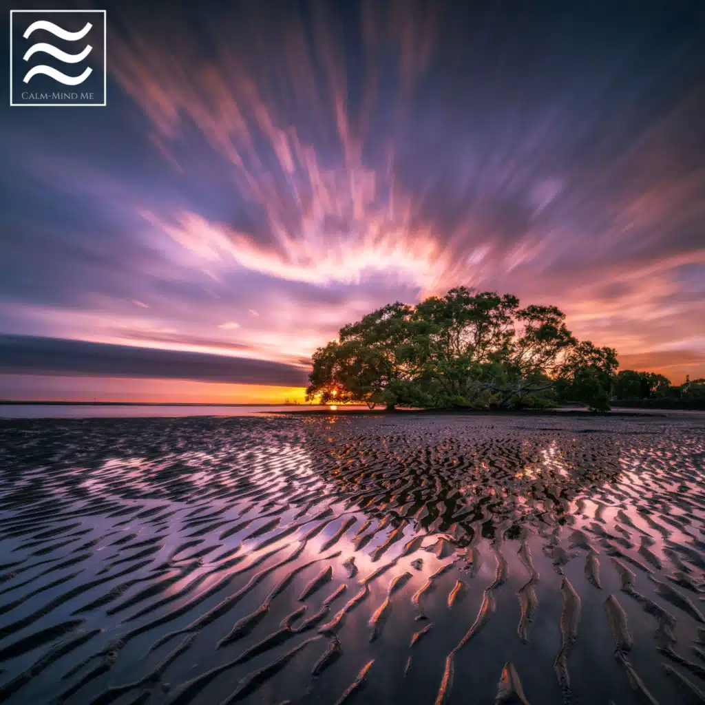 Music for Mind Rest