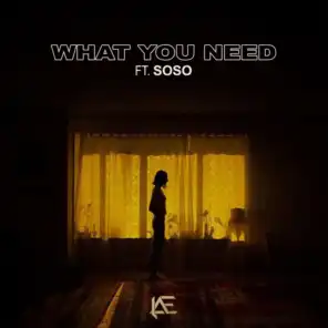 What You Need (feat. Soso)