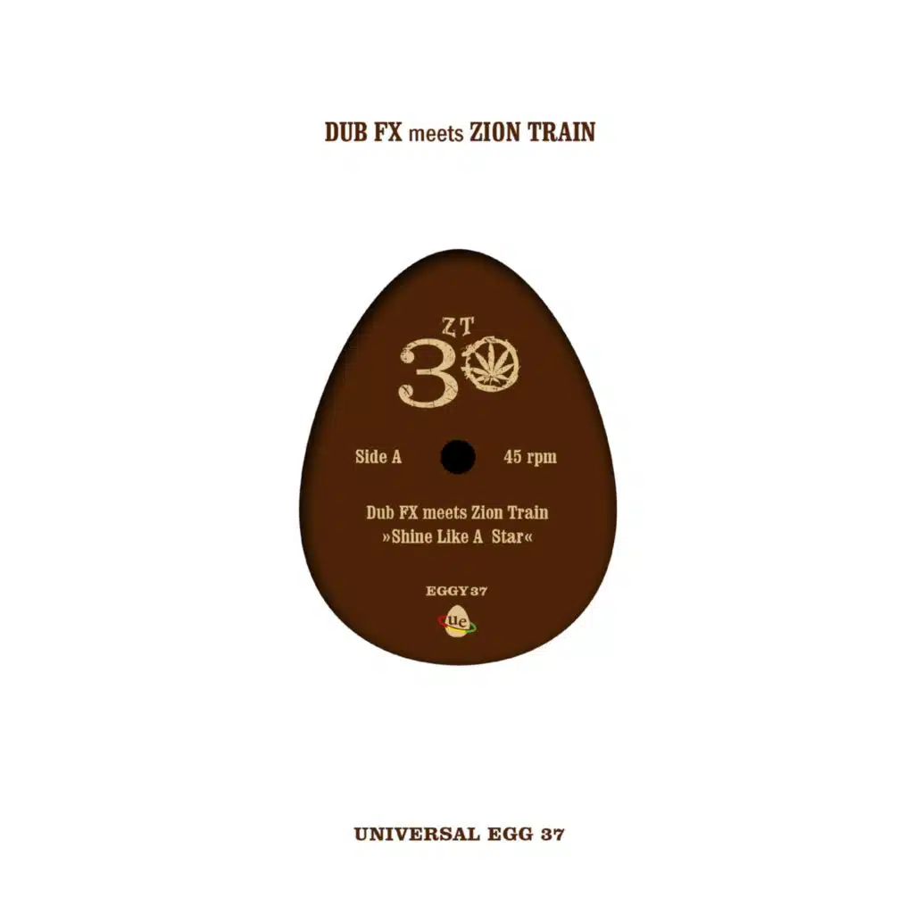 Shine Like a Star (feat. Zion Train)