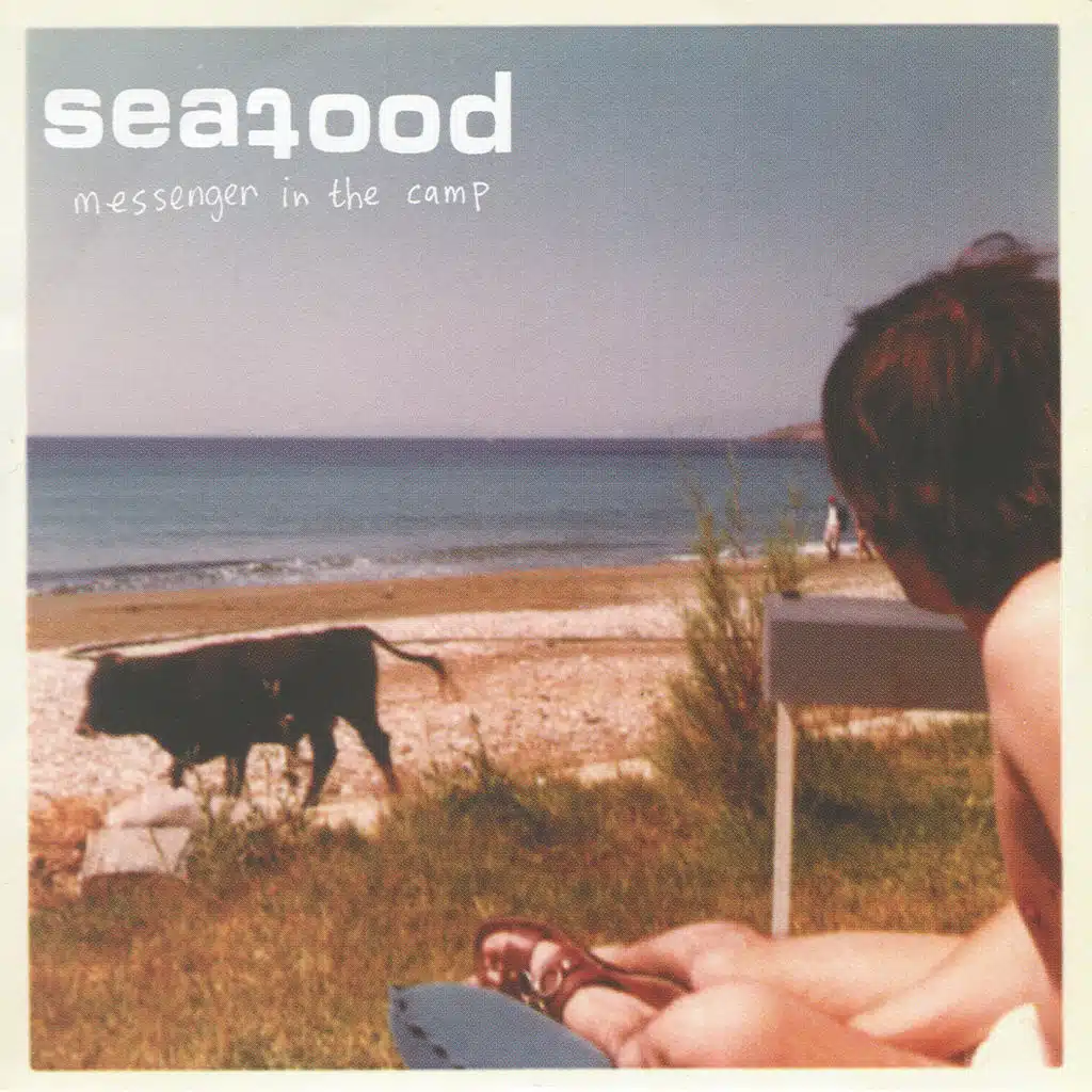 Messenger In The Camp